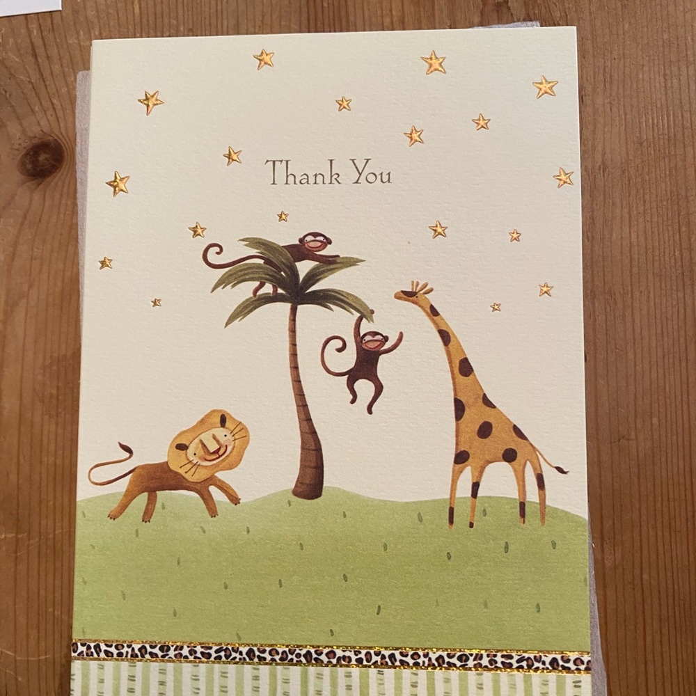 8 Papyrus Thank You Cards and Envelopes